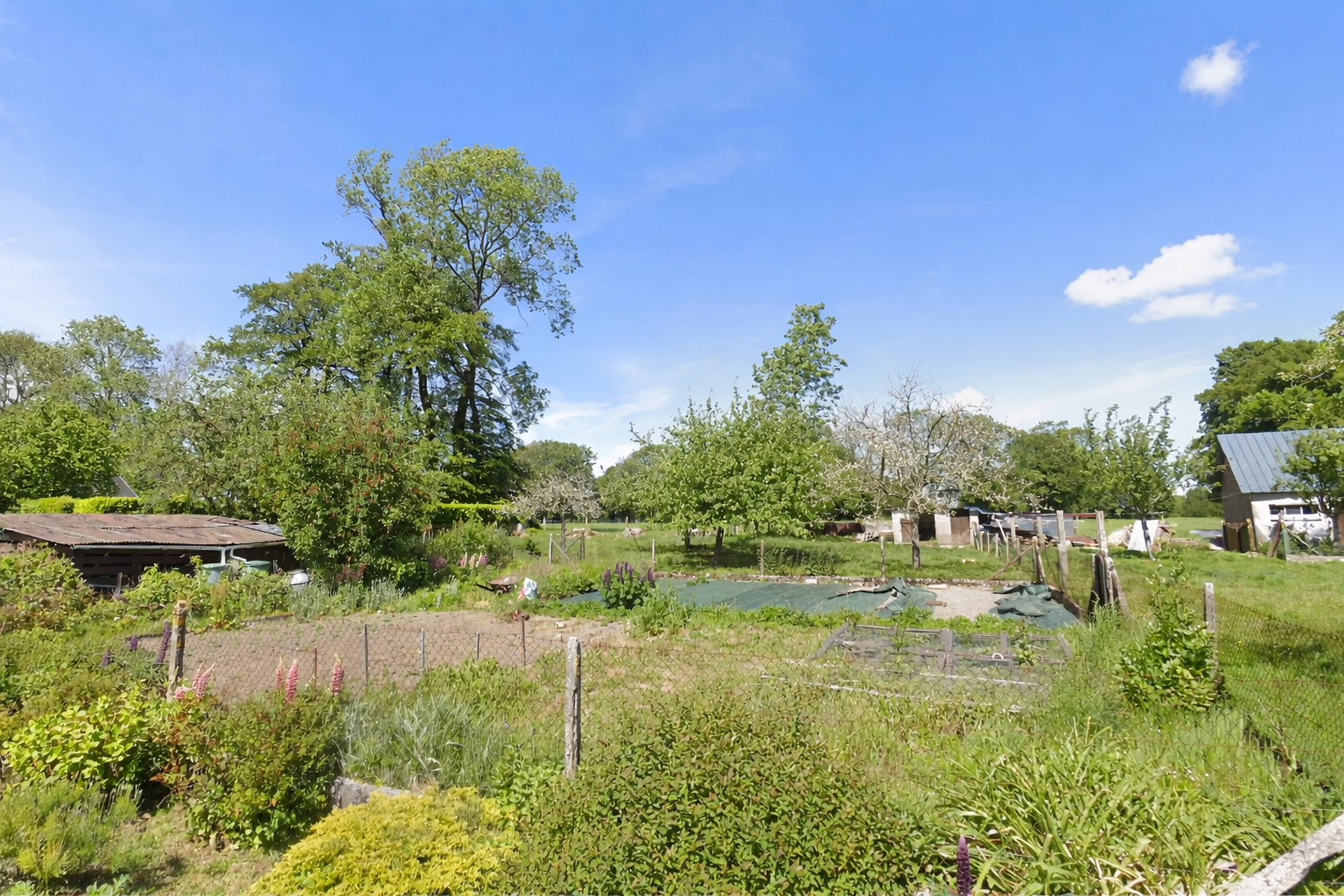 699d819dc69ac49614068706